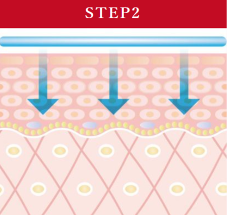陶肌トリートメント・研究を重ねた陶肌トリートメント法とエステティシャンの施術によって、表皮から健やかな肌へと導かれます